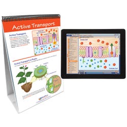 Cell Biology, Item Number 2026448