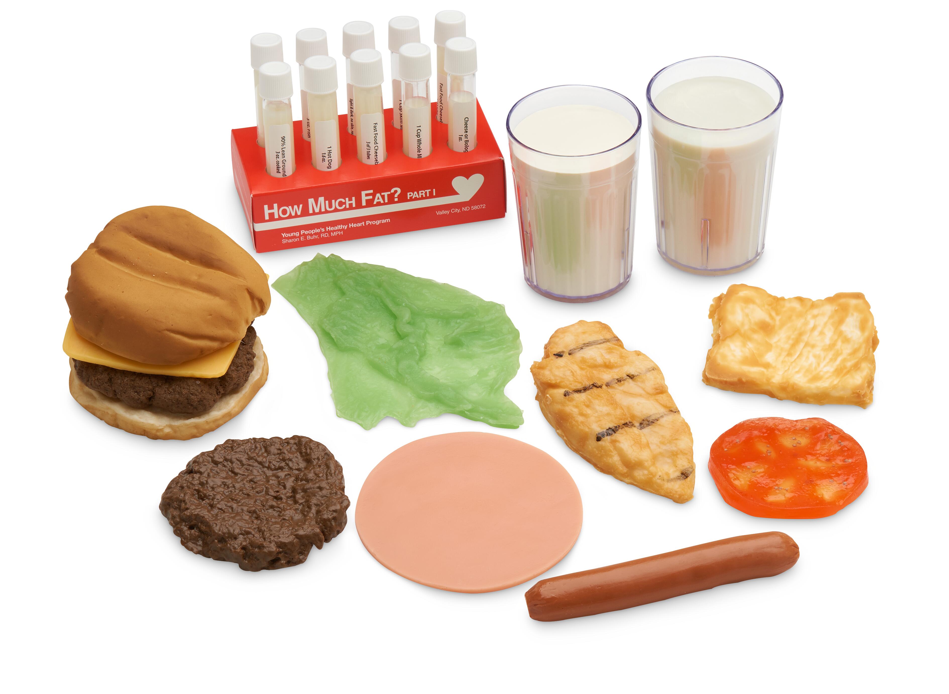 Fats and Food Replica Kit