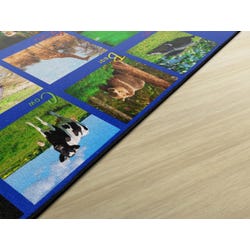 ANGLEIMAGES_FULLIMAGE