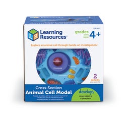 ANGLEIMAGES_FULLIMAGE