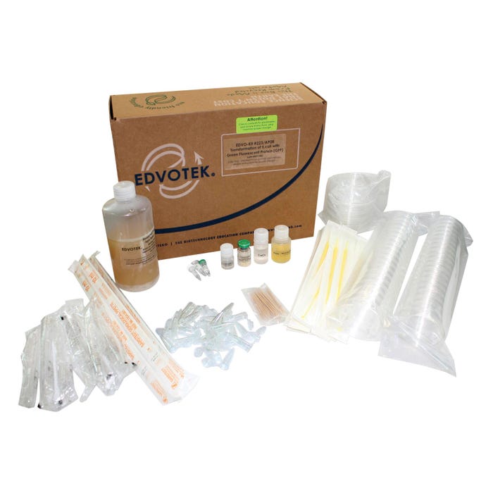 Edvotek Transformation of E.Coli Kit, Green
