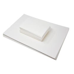 Plant Press Index Card 3 x 5 Inches, Item Number 2090163