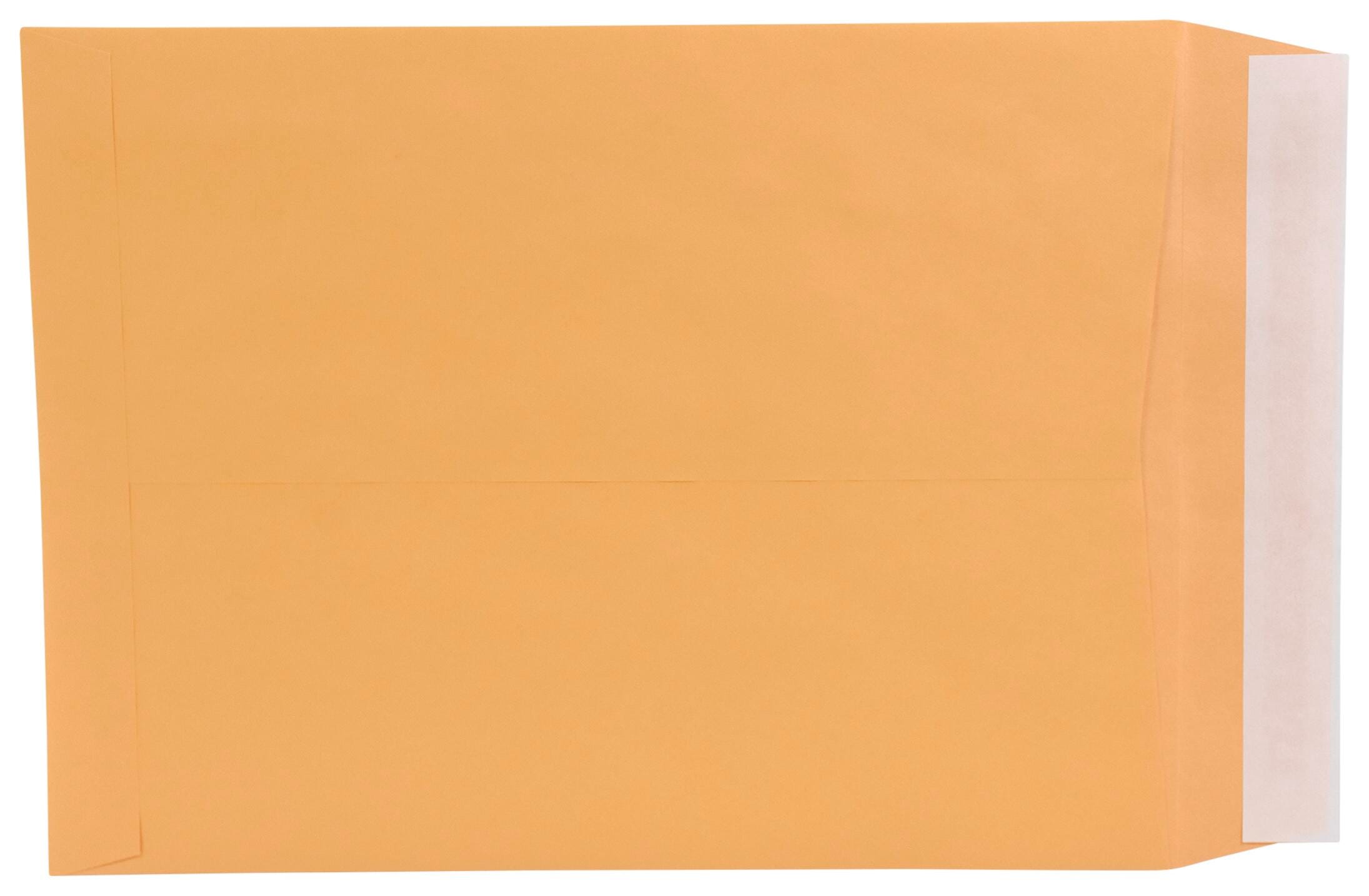 Image for School Smart Kwik-Tak Envelopes, 9 x 12 Inches, 28 lb, Kraft Brown, Box of 100 from School Specialty