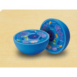 ANGLEIMAGES_FULLIMAGE