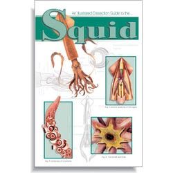 Frey Scientific Mini-Guide to Squid Dissection, Paperback, 16 Pages, Item Number 597009