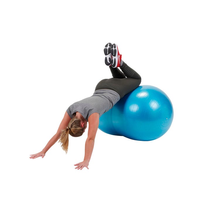 Gymnic Physio-Roll Fitness Ball, 28 Inch, Blue, Each