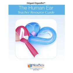 ANGLEIMAGES_FULLIMAGE