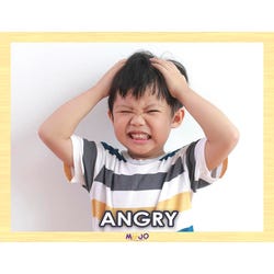 ANGLEIMAGES_FULLIMAGE