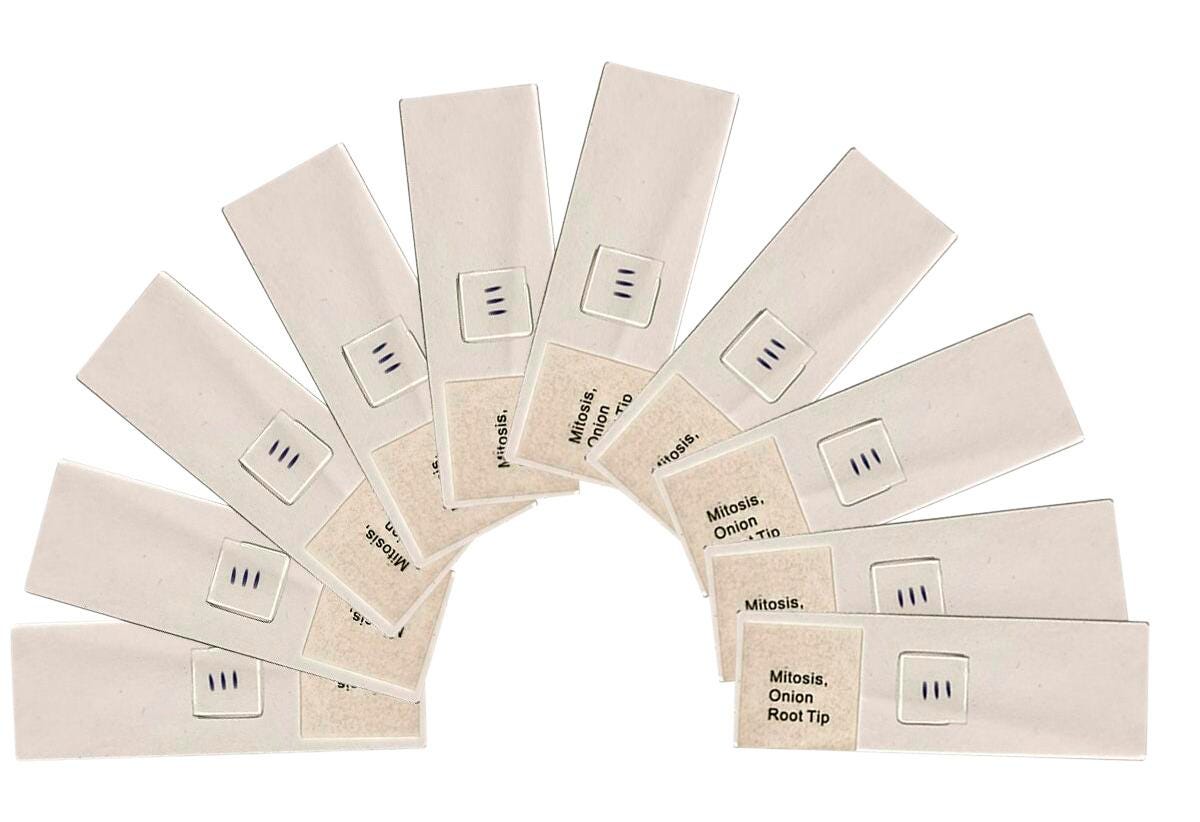 United Scientific™ Hair, 3 Types (Set of 10) Item Number, 2119482