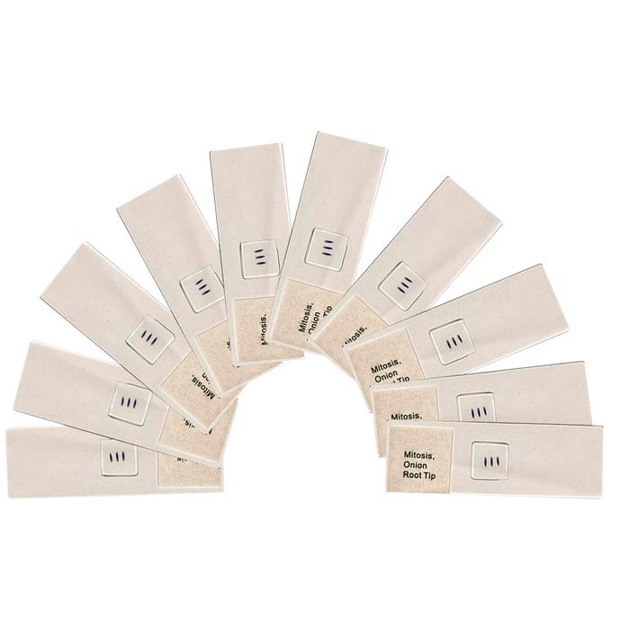 United Scientific Elodea Slide, Set of 10