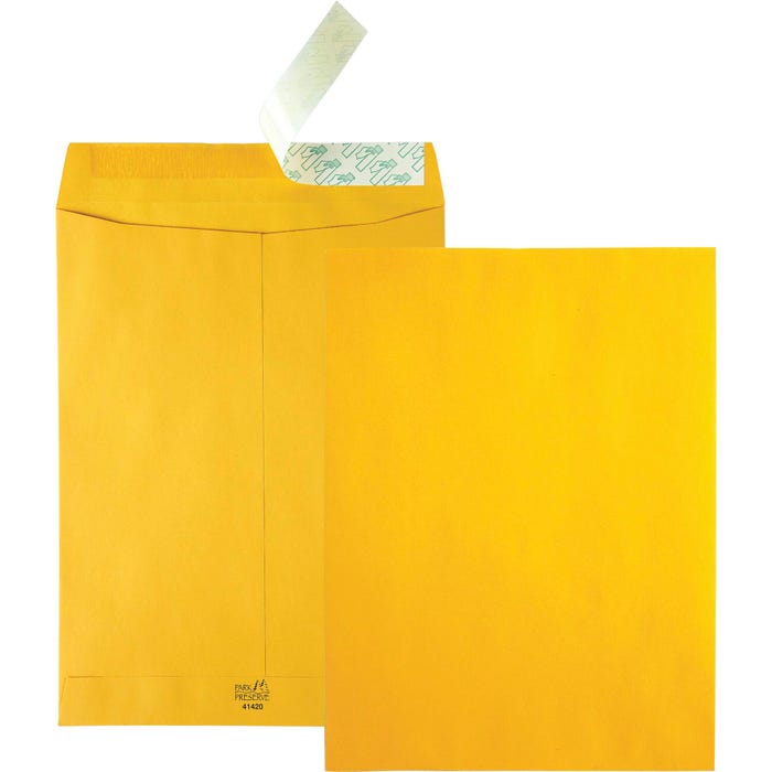 Quality Park High Bulk Redi-Strip Envelope, 9 x 12 Inches, Kraft, Box of 250
