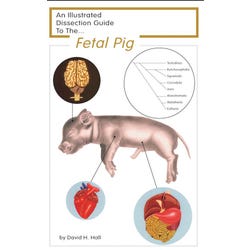 Frey Scientific Mini-Guide to Pig Dissection, Paperback, 16 Pages, Item Number 597039