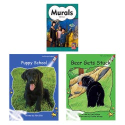 Achieve It! Multipublisher Guided Reading Level G : Class Pack, Grades 1, Set of 96, Item Number 2097353