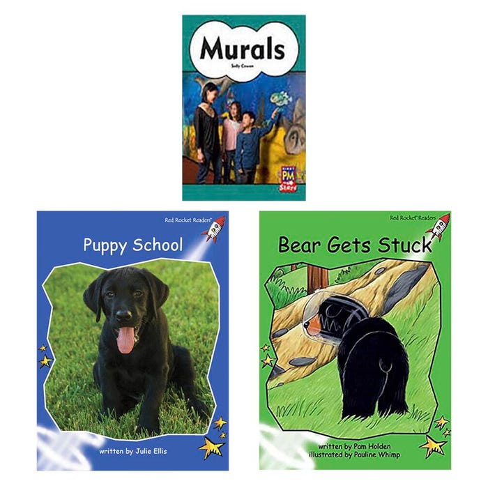 Achieve It! Multipublisher Guided Reading Level G : Class Pack, Grade 1, Set of 96