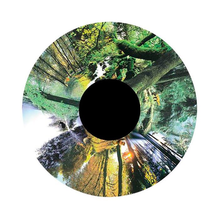 Optikinetics Effect Wheel, 6 Inches, Forest