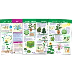 Bulletin Board Sets and Kits, Item Number 1567124