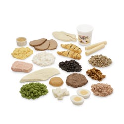 Nasco Healthcare Protein Food Replica Kit and TearPad