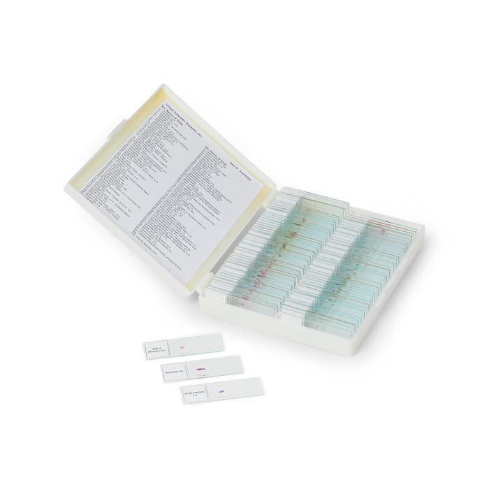 United Science Prepared Slides Classroom Set - Set of 100