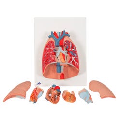 ANGLEIMAGES_FULLIMAGE