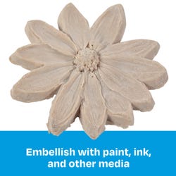 ANGLEIMAGES_FULLIMAGE