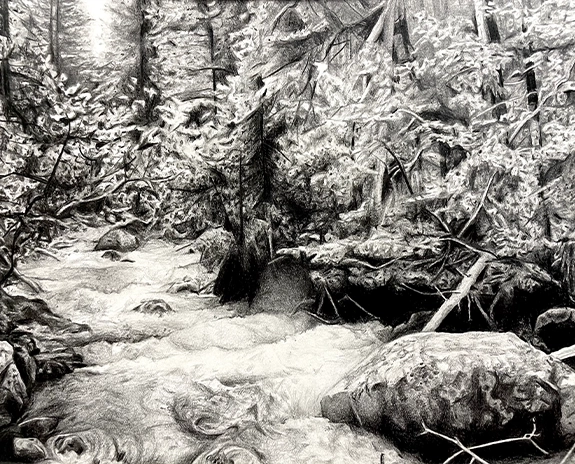 Graphite drawing of a snow covered forest.