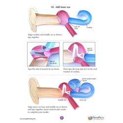 ANGLEIMAGES_FULLIMAGE