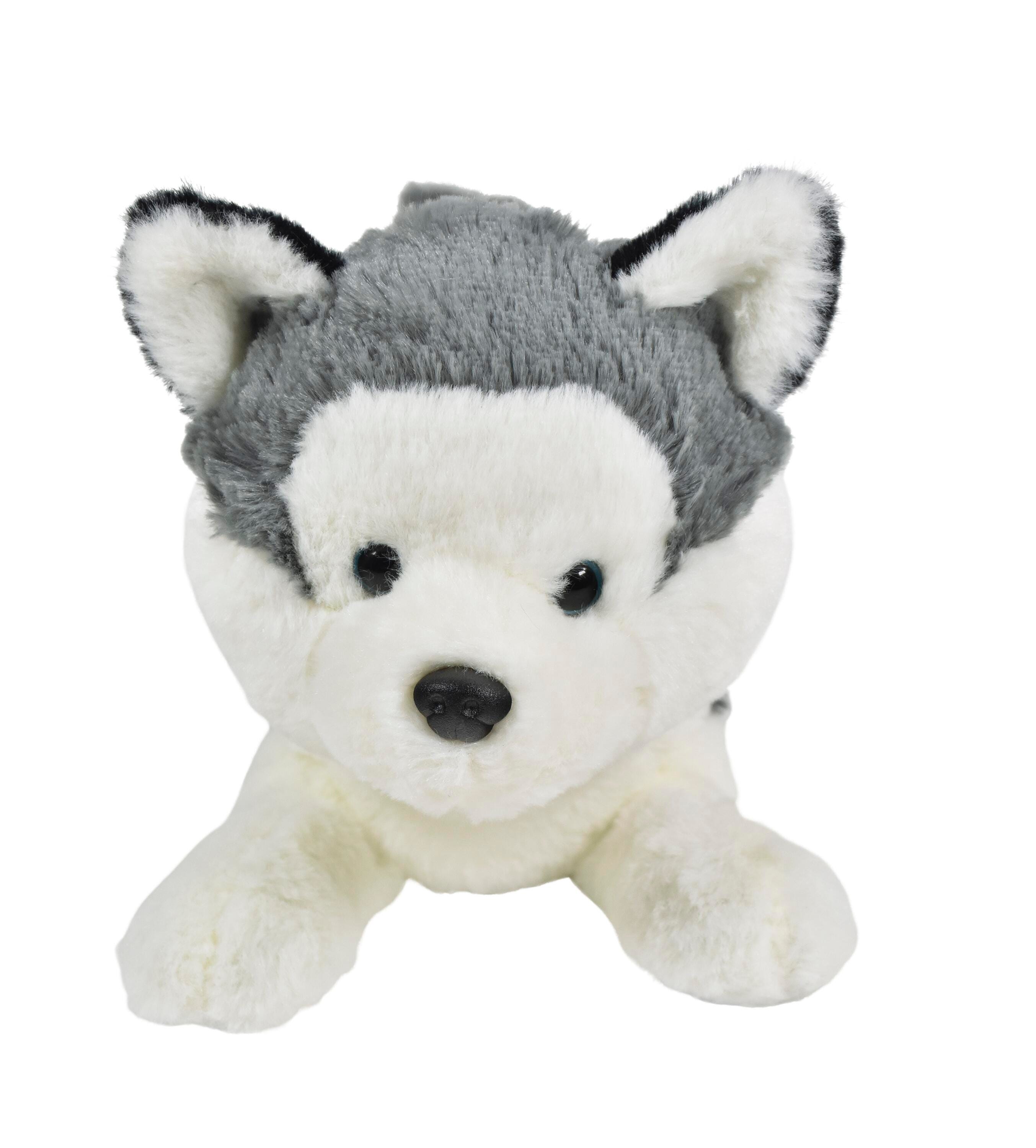 ANGLEIMAGES_FULLIMAGE