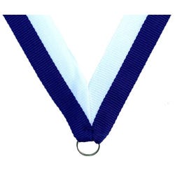 Neck Ribbon, 7/8 x 30 Inches, Blue/White