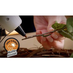 ANGLEIMAGES_FULLIMAGE