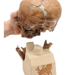 ANGLEIMAGES_FULLIMAGE