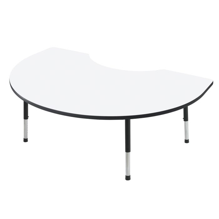 Classroom Select Activity Table, Kidney