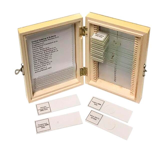 United Scientific Biology Prepared Slide Set of 16, Item Number 2089967