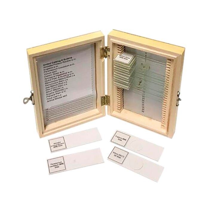 United Scientific Biology Prepared Slide Set of 16