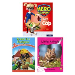 Achieve It! Guided Reading Variety Pack Book Collection, Reading Level B, Grade K, Set of 16, Item Number 2097356