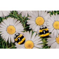 ANGLEIMAGES_FULLIMAGE