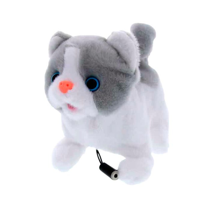 Enabling Devices Lil Kitty