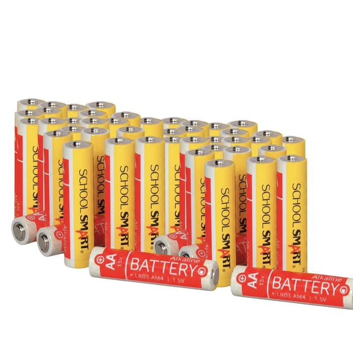 School Smart Alkaline AA Batteries, Pack of 48