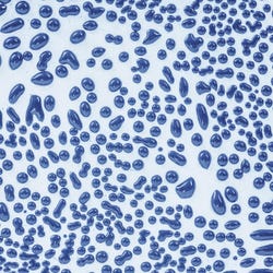 Image for AMACO Crawls Glaze, Pint, CR-20 Dark Blue from School Specialty