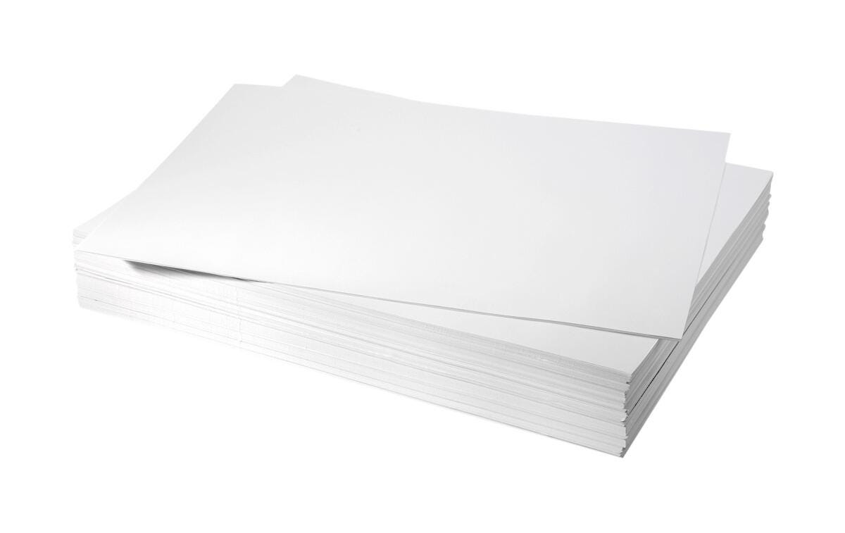 Nasco White Mixed Media Paper - 18 in. x 24 in. - 80 lb. 2218164