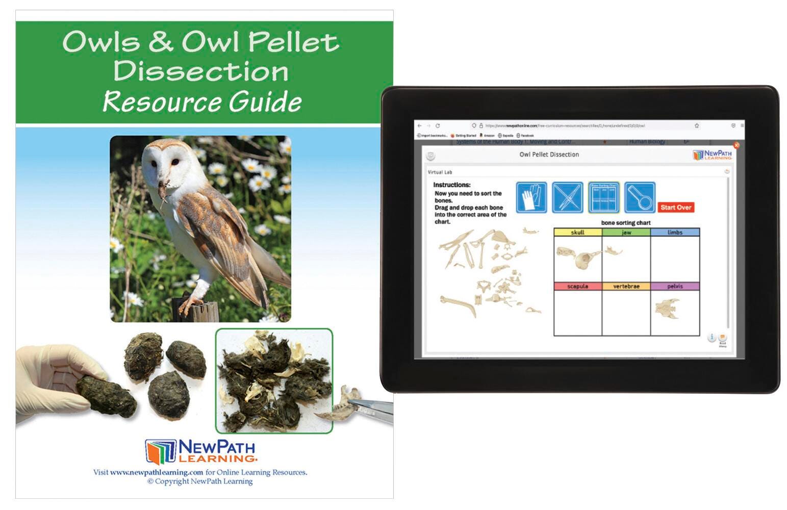 NewPath Learning Owls and Owl Pellet Dissection Resource Guide with Multimedia Lesson 2106971