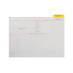 Hammond & Stephens Data Insert for Cumulative Record Folder, 9 x 11-3/4 Inches, Set of 25