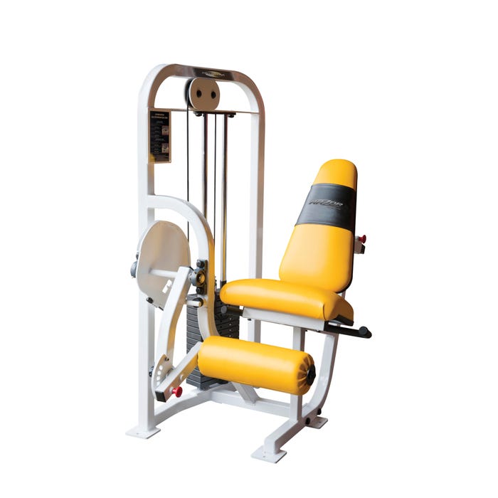 ProMAXima Youth Thigh Extension