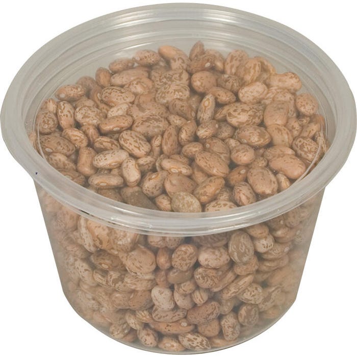 Delta Education Pinto Beans, 12-1/2 Ounces, In Container