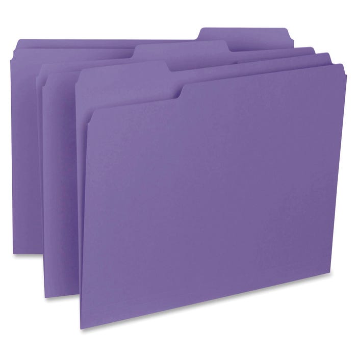 Business Source Interior File Folder, Letter Size, 1/3 Cut Tabs, Purple, Pack of 100