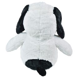 ANGLEIMAGES_FULLIMAGE