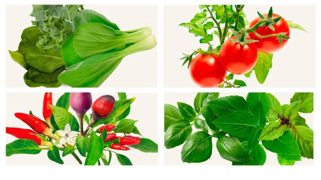 FullCircle26 Food Transformation Pod Bundle