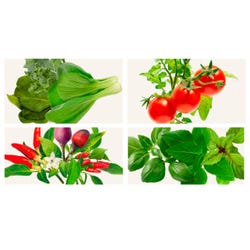 FullCircle26 Food Transformation Pod Bundle