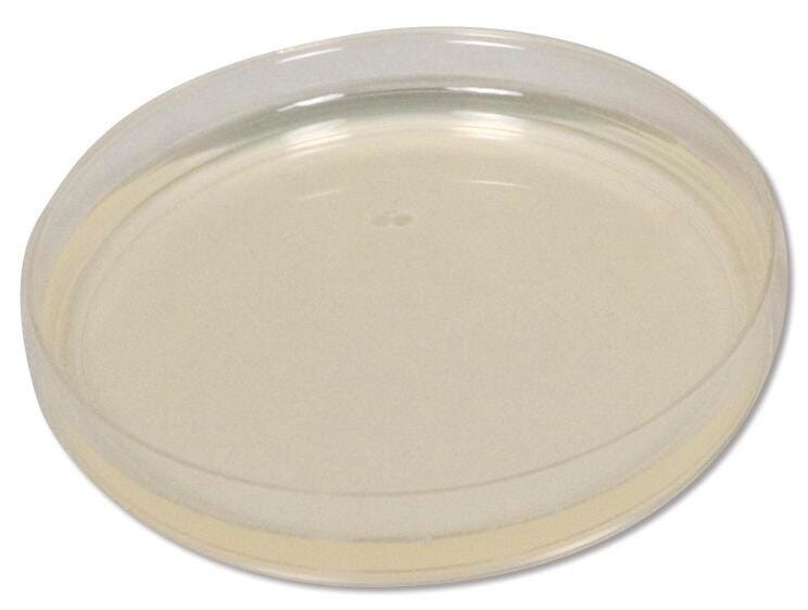 Image for Frey Scientific Prepared Plated Nutrient Agar, Pack of 100 from School Specialty
