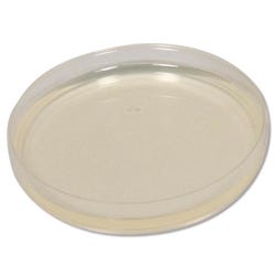Frey Scientific Prepared Plated Nutrient Agar - Pack of 100, Item Number 526786