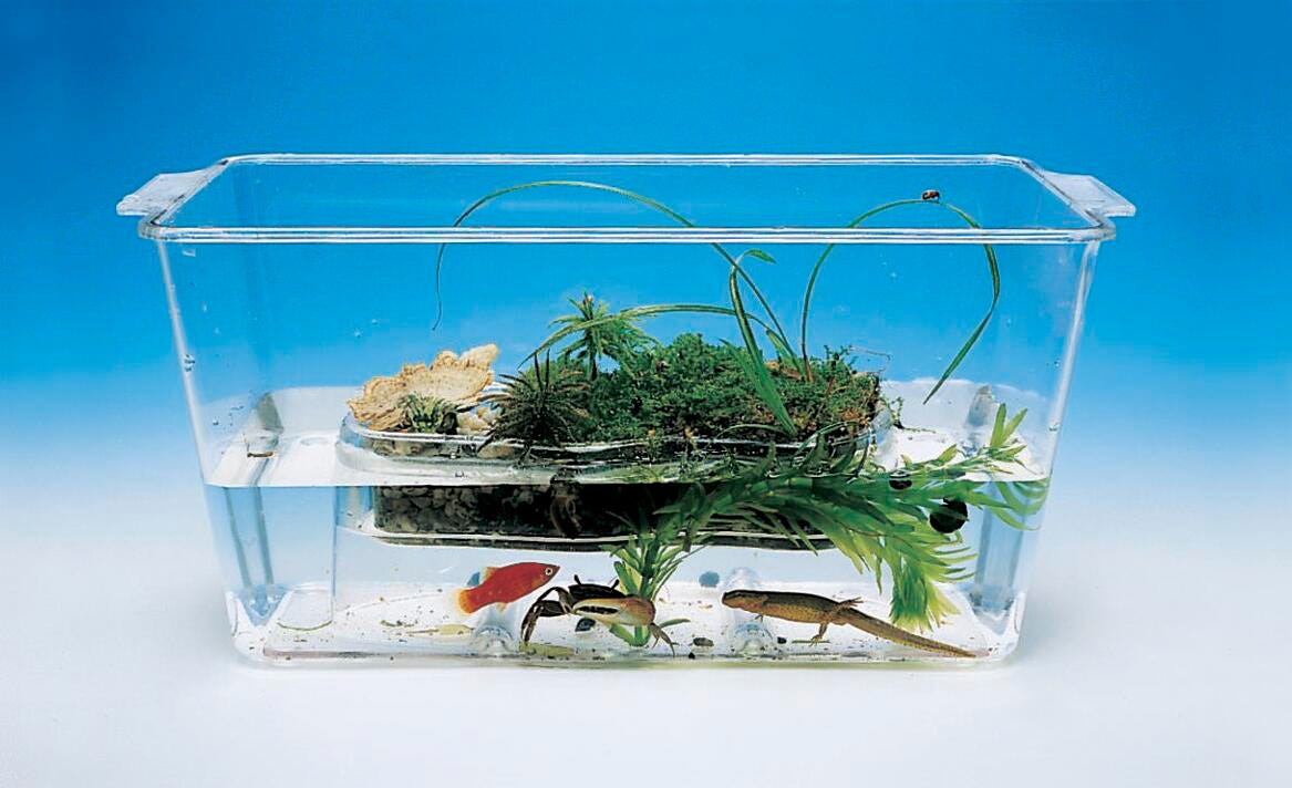 Ecology, Environment, Item Number 090-1262